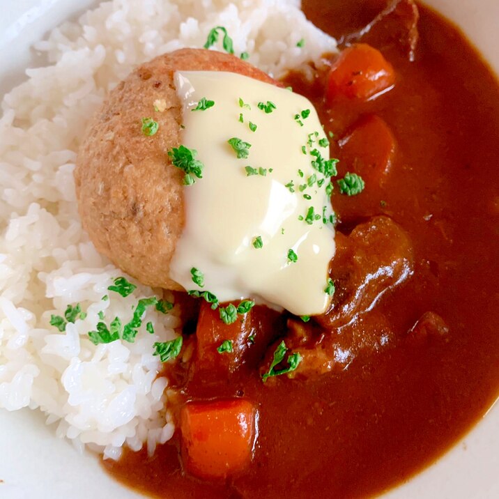 おからハンバーグカレー